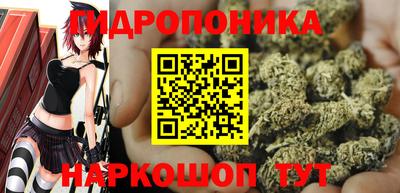ешки Будённовск